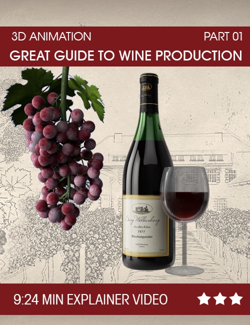 wine production 3d animation